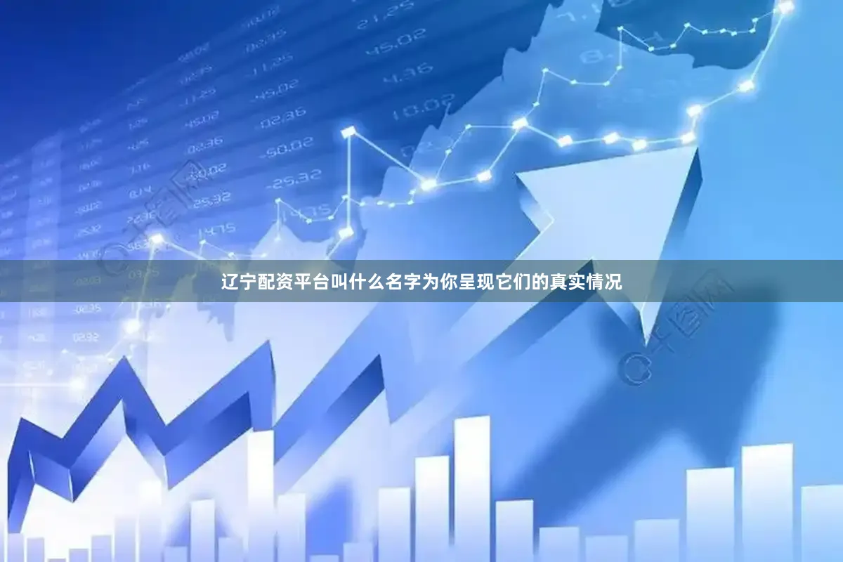 辽宁配资平台叫什么名字为你呈现它们的真实情况