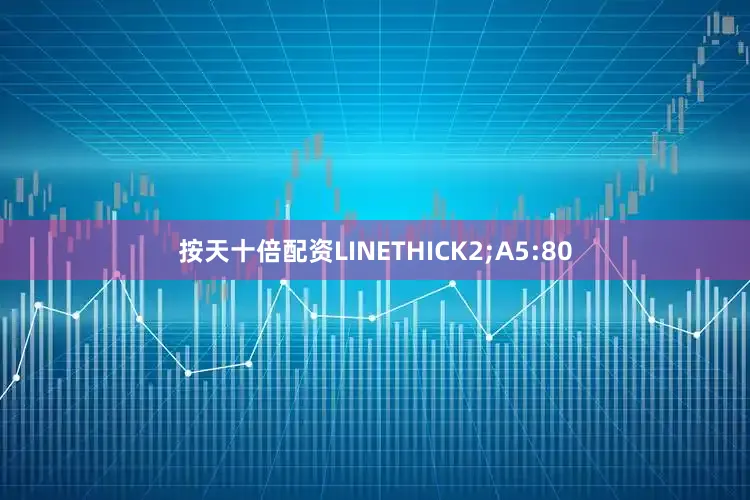 按天十倍配资LINETHICK2;A5:80