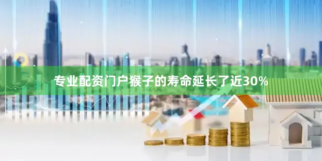 专业配资门户猴子的寿命延长了近30%